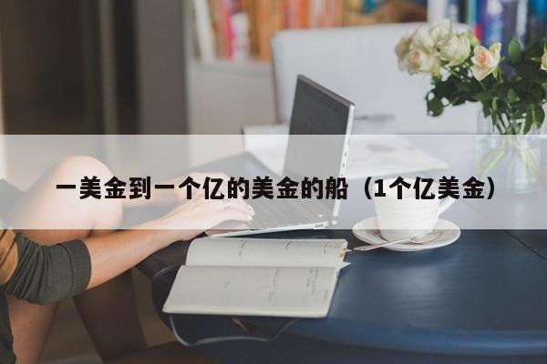 一美金到一个亿的美金的船（1个亿美金）