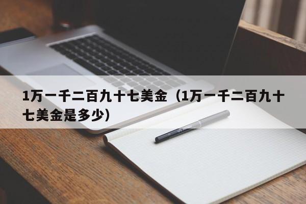 1万一千二百九十七美金（1万一千二百九十七美金是多少）