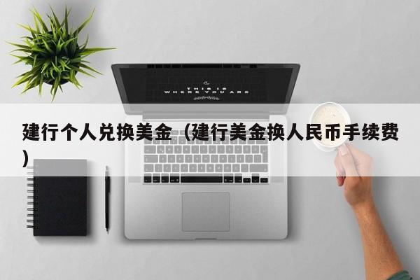 建行个人兑换美金（建行美金换人民币手续费）