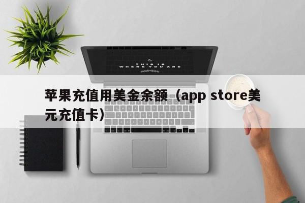 苹果充值用美金余额（app store美元充值卡）