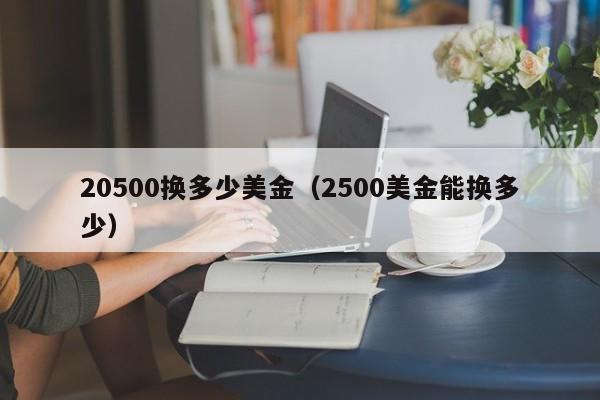 20500换多少美金（2500美金能换多少）