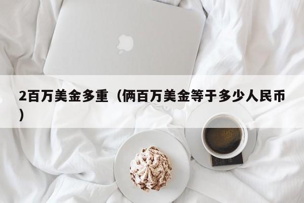 2百万美金多重（俩百万美金等于多少人民币）