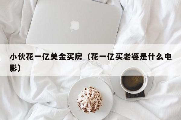 小伙花一亿美金买房（花一亿买老婆是什么电影）