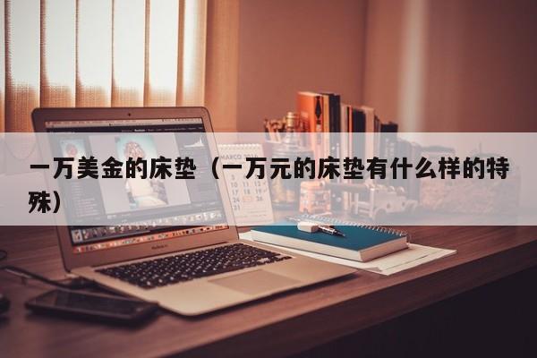一万美金的床垫（一万元的床垫有什么样的特殊）