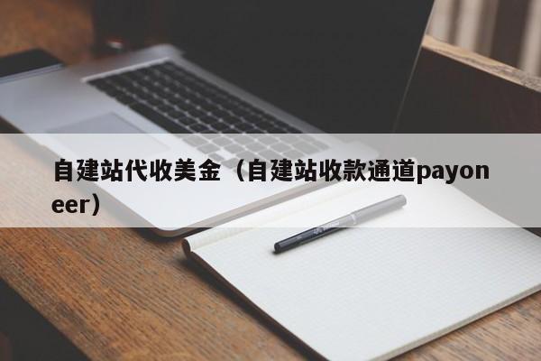 自建站代收美金（自建站收款通道payoneer）