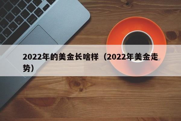 2022年的美金长啥样（2022年美金走势）
