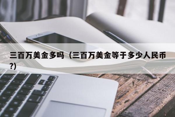 三百万美金多吗（三百万美金等于多少人民币?）