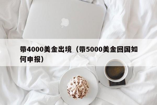 带4000美金出境（带5000美金回国如何申报）