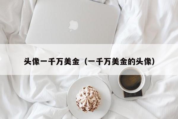 头像一千万美金（一千万美金的头像）
