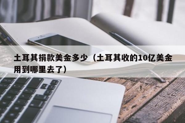 土耳其捐款美金多少（土耳其收的10亿美金用到哪里去了）