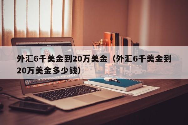外汇6千美金到20万美金（外汇6千美金到20万美金多少钱）