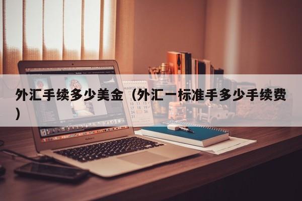 外汇手续多少美金（外汇一标准手多少手续费）