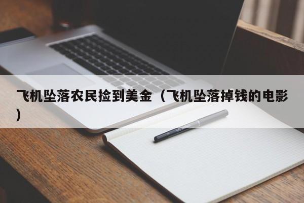飞机坠落农民捡到美金（飞机坠落掉钱的电影）