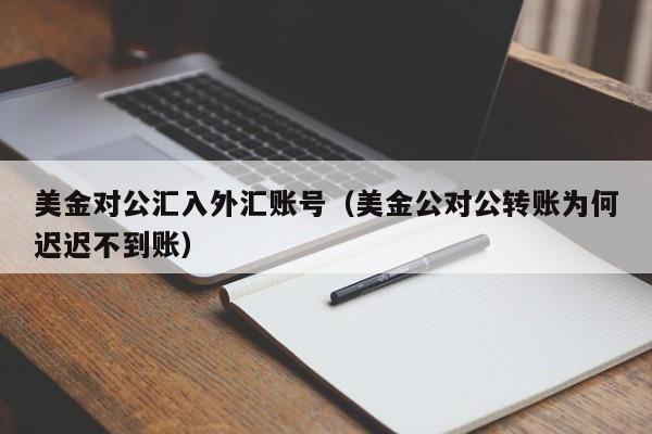 美金对公汇入外汇账号（美金公对公转账为何迟迟不到账）