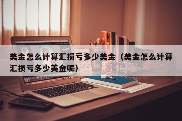 美金怎么计算汇损亏多少美金（美金怎么计算汇损亏多少美金呢）