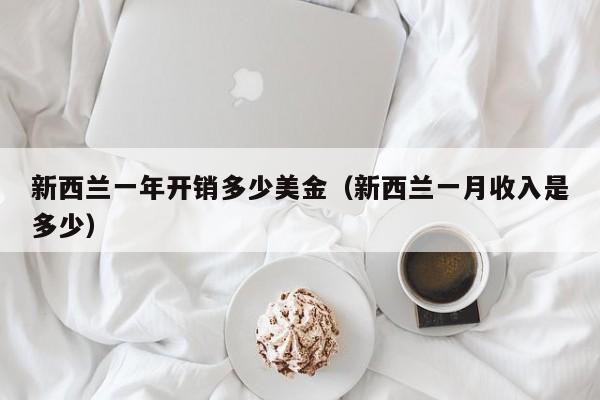 新西兰一年开销多少美金（新西兰一月收入是多少）