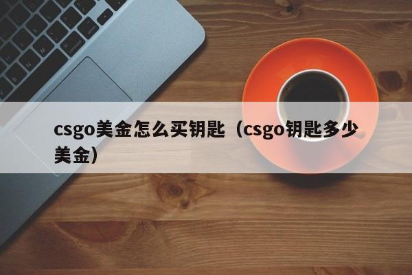 csgo美金怎么买钥匙（csgo钥匙多少美金）