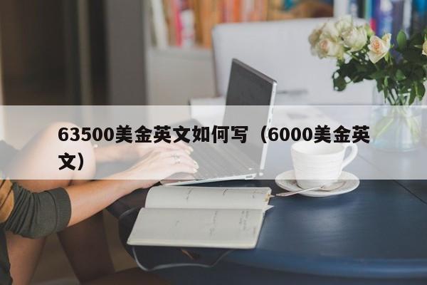 63500美金英文如何写（6000美金英文）
