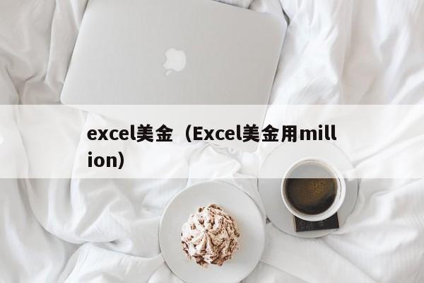 excel美金（Excel美金用million）