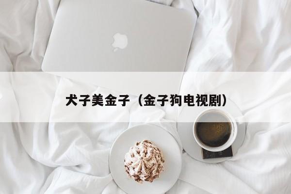 犬子美金子（金子狗电视剧）