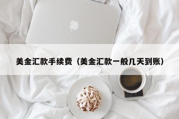 美金汇款手续费（美金汇款一般几天到账）