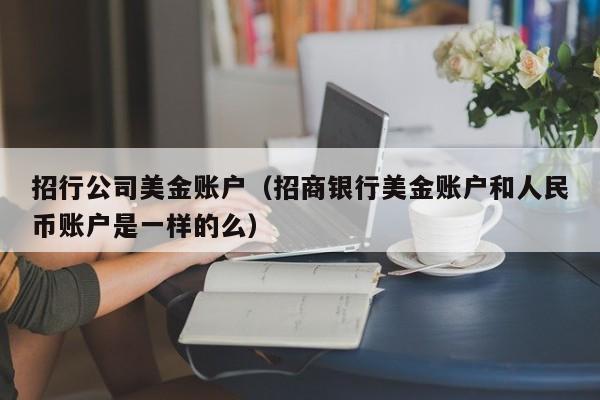 招行公司美金账户（招商银行美金账户和人民币账户是一样的么）