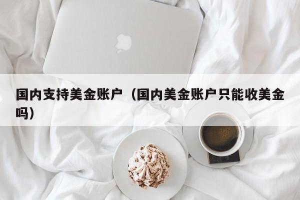 国内支持美金账户（国内美金账户只能收美金吗）