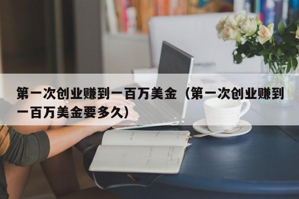 第一次创业赚到一百万美金（第一次创业赚到一百万美金要多久）