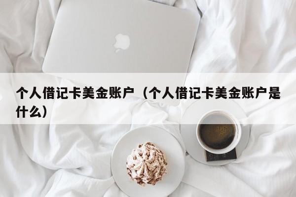 个人借记卡美金账户（个人借记卡美金账户是什么）