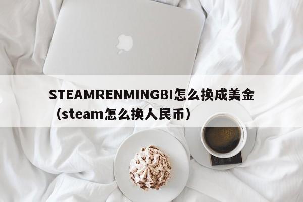 STEAMRENMINGBI怎么换成美金（steam怎么换人民币）