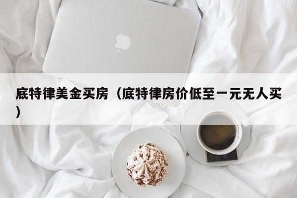 底特律美金买房（底特律房价低至一元无人买）