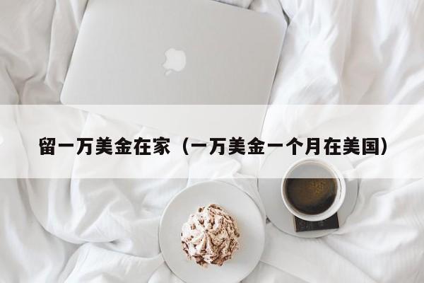 留一万美金在家（一万美金一个月在美国）