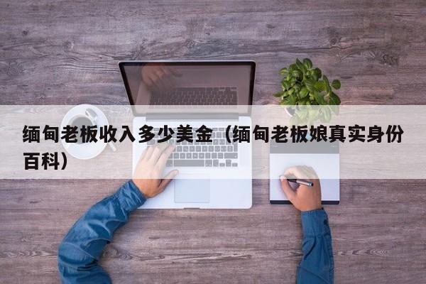 缅甸老板收入多少美金（缅甸老板娘真实身份百科）