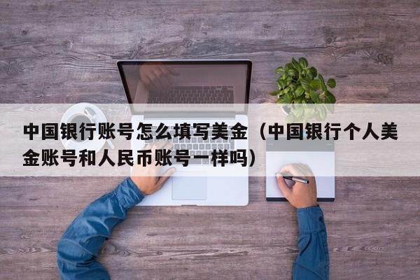 中国银行账号怎么填写美金（中国银行个人美金账号和人民币账号一样吗）