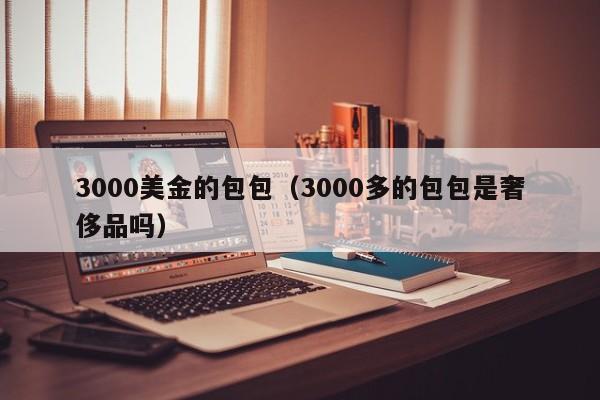 3000美金的包包（3000多的包包是奢侈品吗）