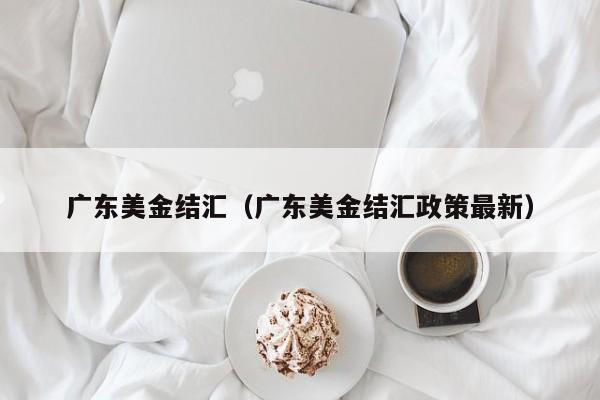 广东美金结汇（广东美金结汇政策最新）