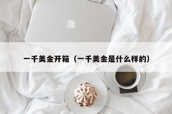 一千美金开箱（一千美金是什么样的）