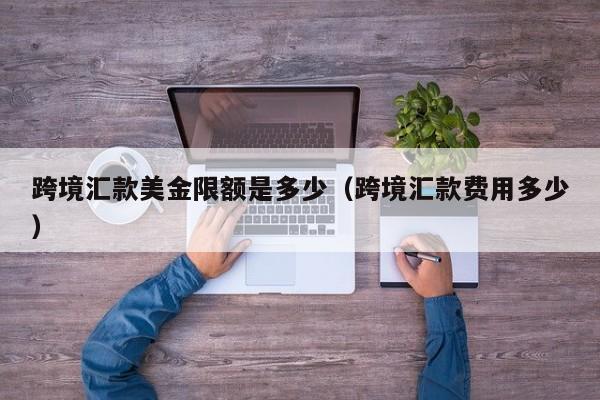 跨境汇款美金限额是多少（跨境汇款费用多少）