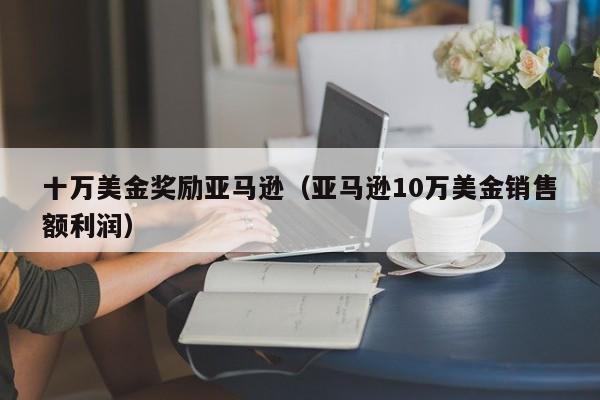 十万美金奖励亚马逊（亚马逊10万美金销售额利润）