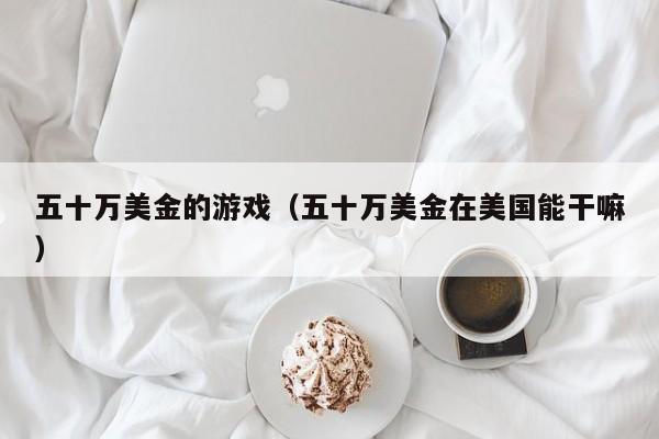 五十万美金的游戏（五十万美金在美国能干嘛）
