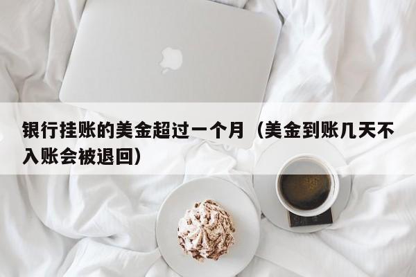 银行挂账的美金超过一个月（美金到账几天不入账会被退回）