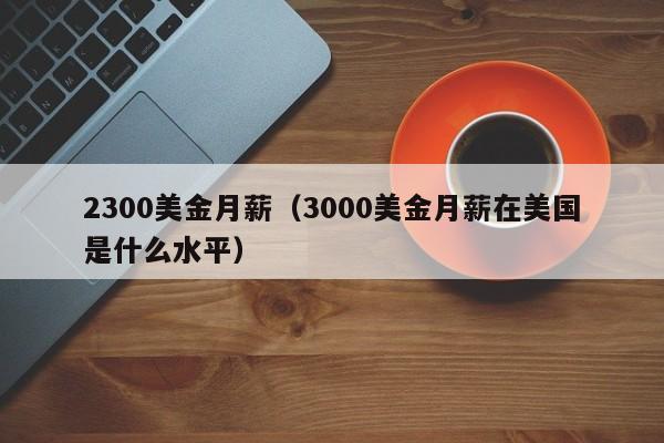 2300美金月薪（3000美金月薪在美国是什么水平）