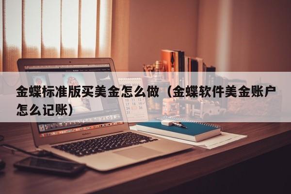 金蝶标准版买美金怎么做（金蝶软件美金账户怎么记账）