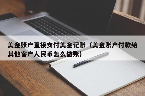 美金账户直接支付美金记账（美金账户付款给其他客户人民币怎么做账）