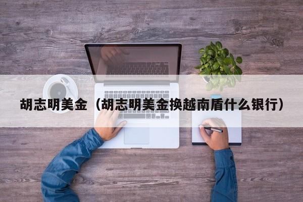 胡志明美金（胡志明美金换越南盾什么银行）