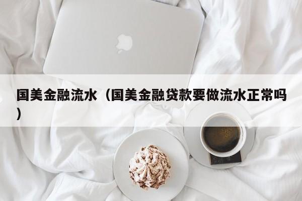 国美金融流水（国美金融贷款要做流水正常吗）