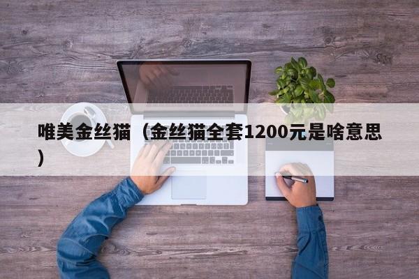 唯美金丝猫（金丝猫全套1200元是啥意思）