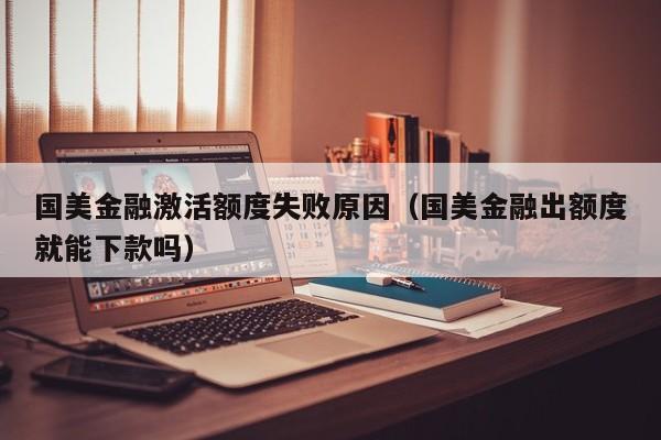 国美金融激活额度失败原因（国美金融出额度就能下款吗）