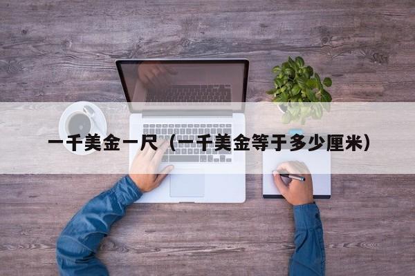 一千美金一尺（一千美金等于多少厘米）