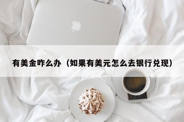 有美金咋么办（如果有美元怎么去银行兑现）